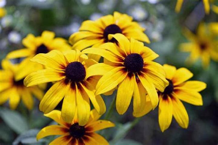 Break Away Deluxe Triple Pots online slot