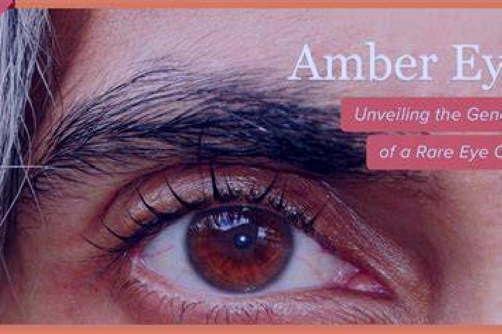 Cinerama slot machine
