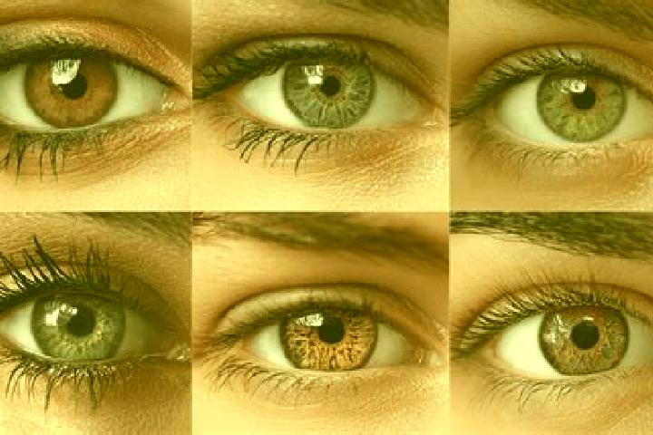Den Store Bazar slot machine