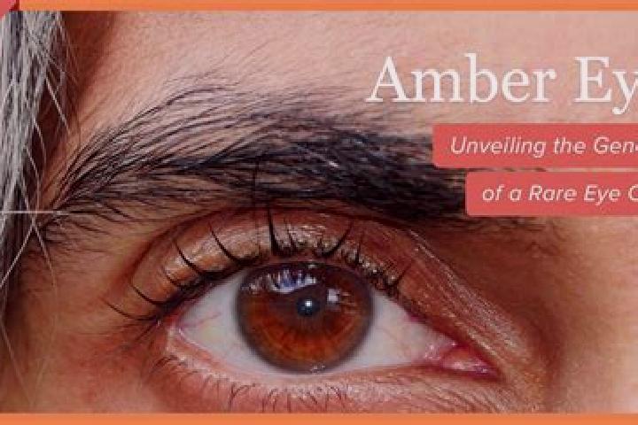 Eastern Fortunes slot machine
