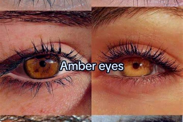 Fort Knox Wolf Run slot game