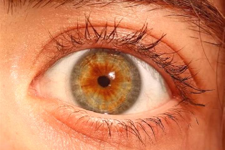 Gates of Olympus Xmas 1000 slot machine