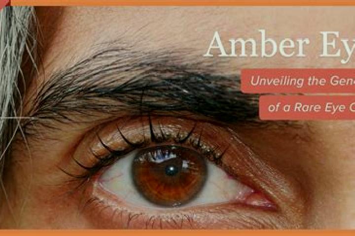 Gold Metal Ox slot game