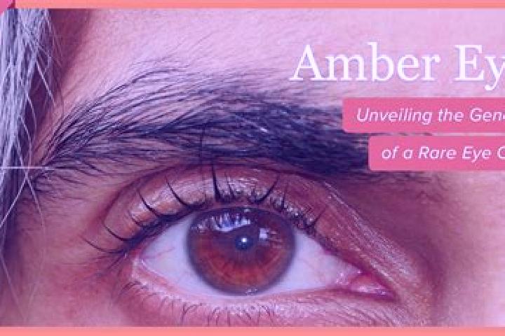 Hawaii (Spin2Win) online slot
