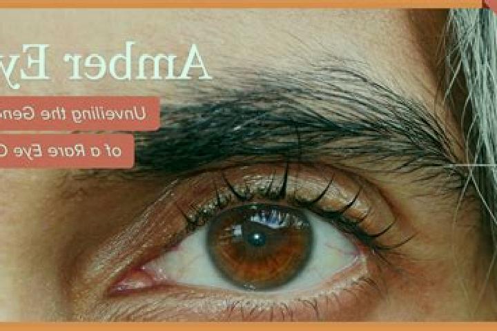 Majestic Cats Loot Link slot machine