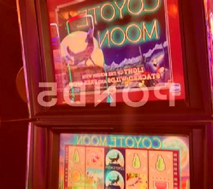 Miss White slot machine