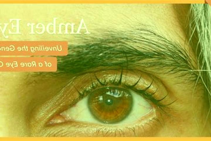 Triple Wild Thanksgiving slot game