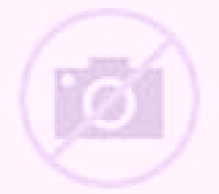 West Hunter Bingo online slot