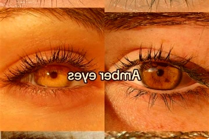 Wild Fish Hunter slot machine