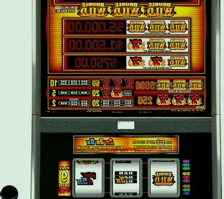 WP PaiKang slot machine
